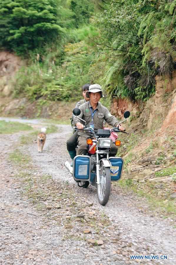 CHINA-GUANGXI-JINXIU-FOREST RANGERS (CN)