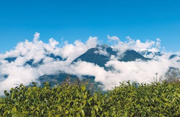 fileImg ???1641799046.png